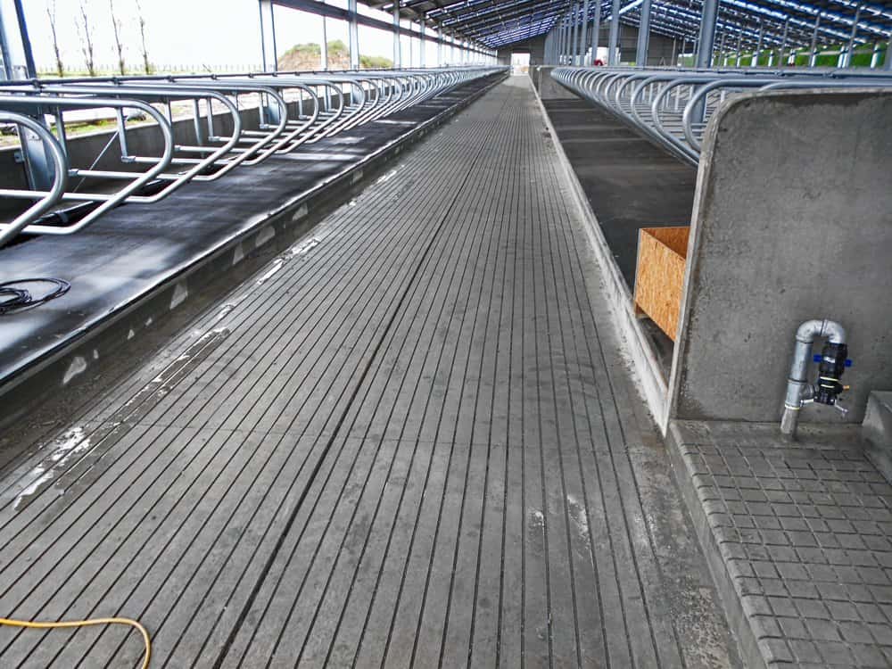 Concrete Grooving and Cutting Services, New Zealand