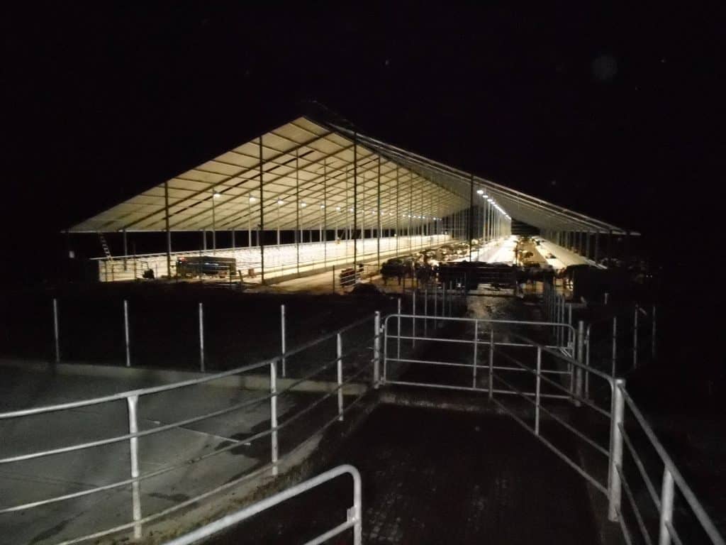 Concrete Grooving Provides Night Concrete Grooving for Dairy Barns