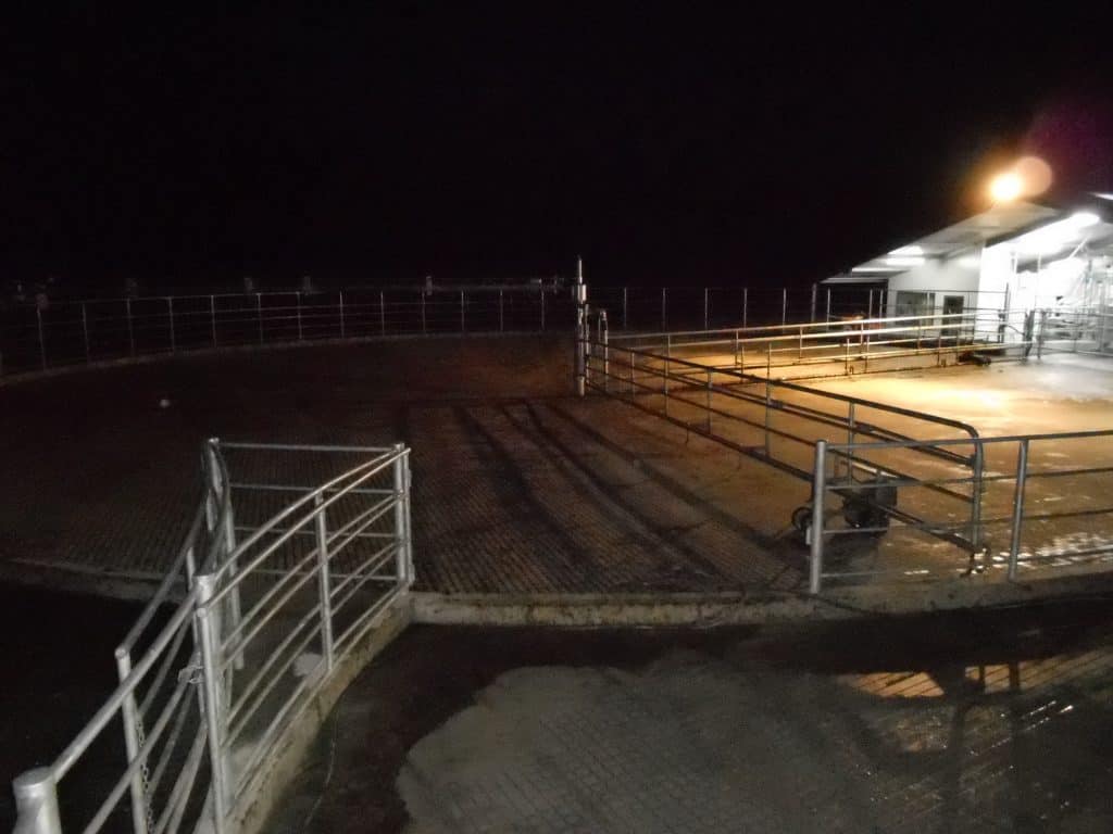 Concrete Grooving Provides Night Concrete Grooving for Dairy Barns