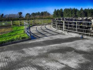 Concrete Grooving Services